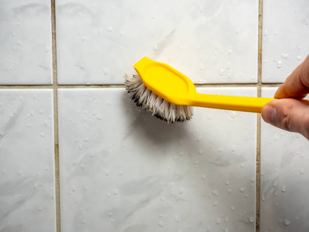  Courtland, VA Mold Removal Pros