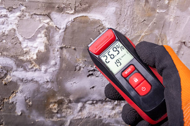 Best Best Mold Removal Companies  in Courtland, VA