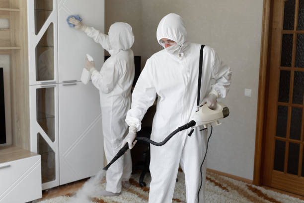 Best Affordable Mold Removal  in Courtland, VA