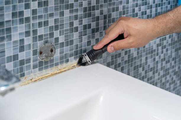 Best Home Mold Removal  in Courtland, VA