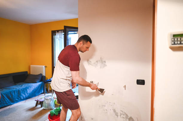 Best Toxic Mold Removal  in Courtland, VA